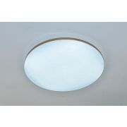 Светодиодный светильник GLX-23367-24W-D300 LED-GD (1шт)